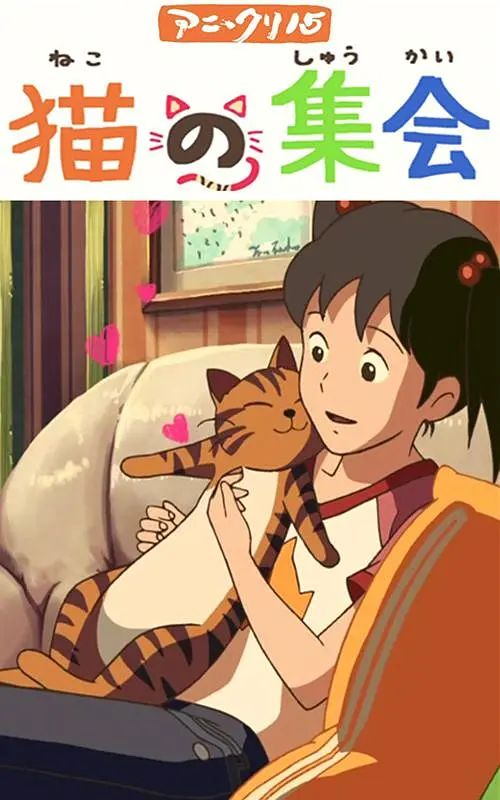 完结完整版观看