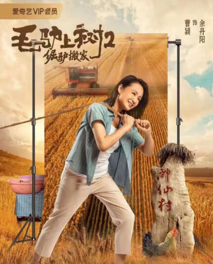 要用同一个房间吗.