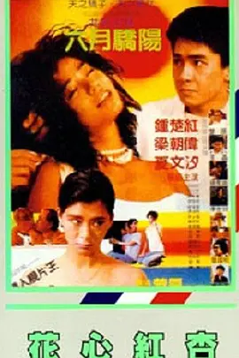 1080P手机在线看