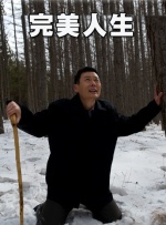 HD免费在线播放