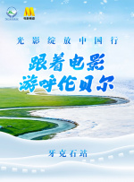 全集免费观看超清