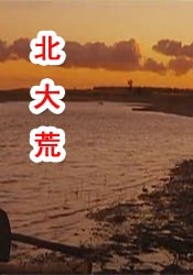 高清影视