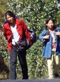 完结高清影视