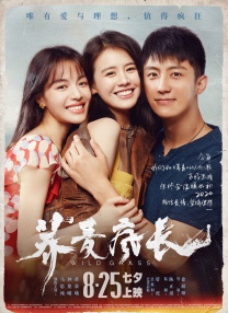 中文字幕未删减版在线观看